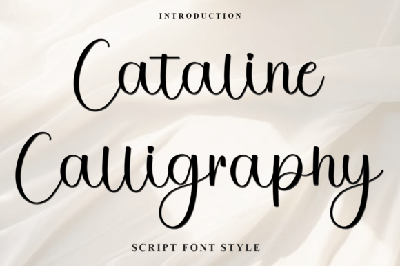 How Cataline Calligraphy Gave My Small Business a Festive, Polished Look