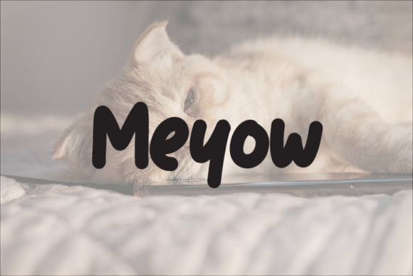 Meyow: A Modern Typeface for Elegant Web Design