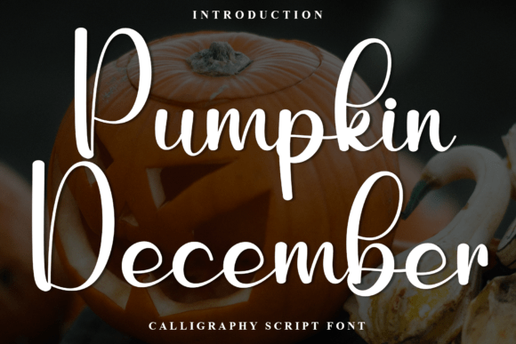 Pumpkin December: A Modern Script Font for Scroll-Stopping Digital Campaigns